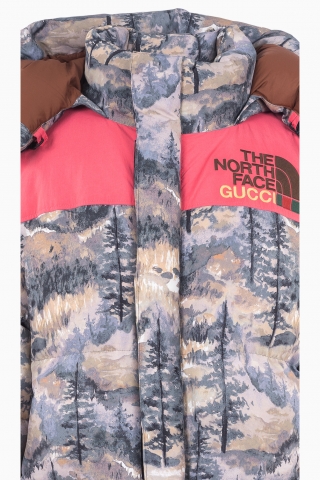 JACKE FÜR HERREN GUCCI X THE NORTH FACE PARKA