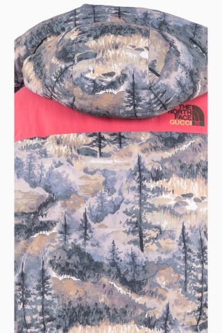 JACKE FÜR HERREN GUCCI X THE NORTH FACE PARKA